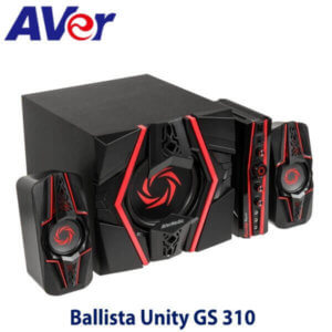 Avermedia Ballista Unity Gs 310 Kenya