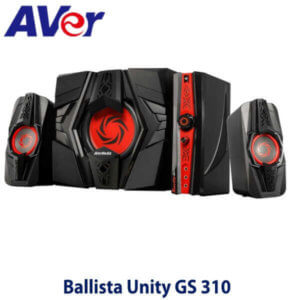 Avermedia Ballista Unity Gs 310 Nairobi