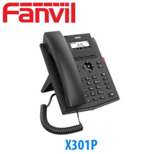 Fanvil X301p Kenya